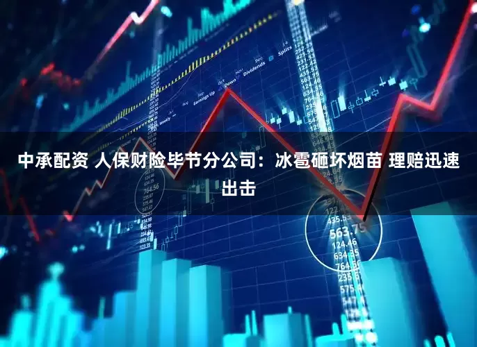 中承配资 人保财险毕节分公司：冰雹砸坏烟苗 理赔迅速出击