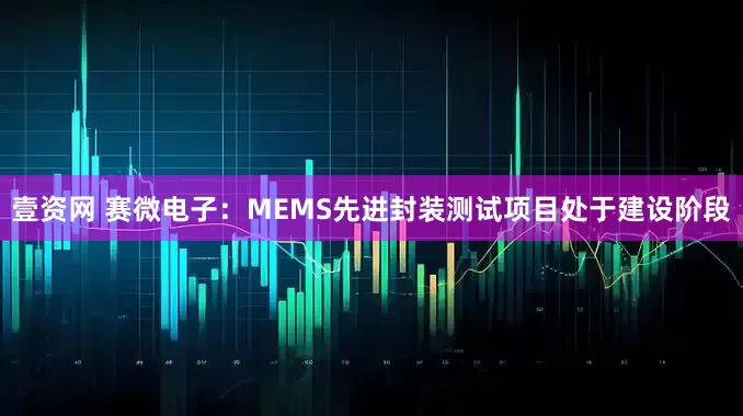 壹资网 赛微电子：MEMS先进封装测试项目处于建设阶段